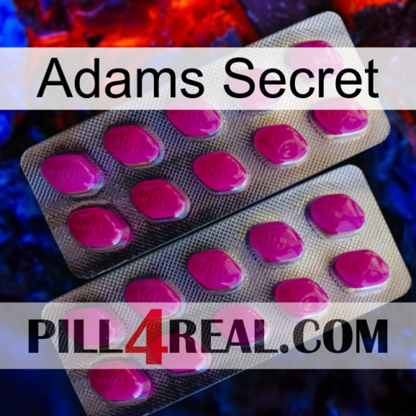 Adams Secret 10.jpg